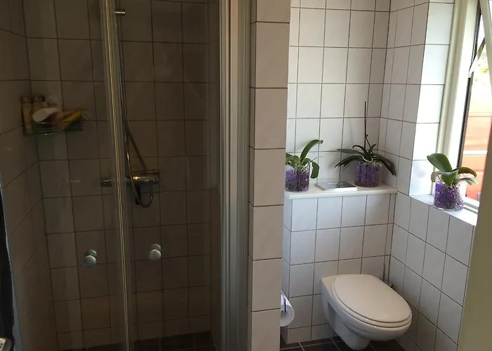 ベッド・アンド・ブレックファスト アメージング 3*